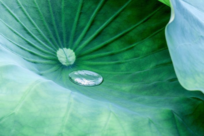 CCeliaPhoto / iStock