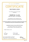 Certificare conform DIN EN ISO 50001