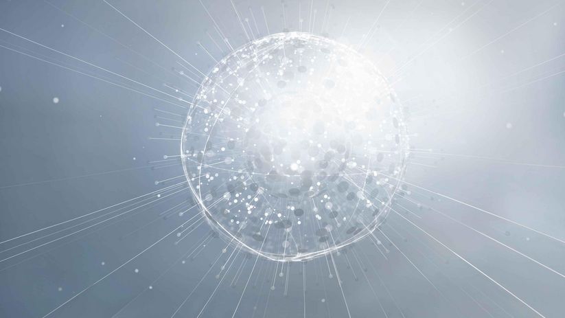 Keyvisual Connectivity